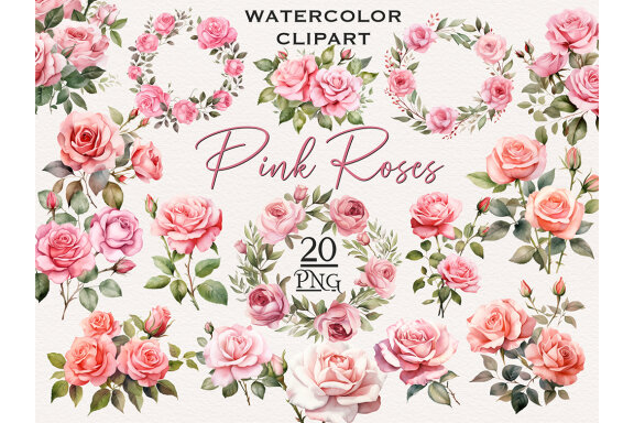 Pink Roses PNG Bundle, Watercolor Flowers Clipart