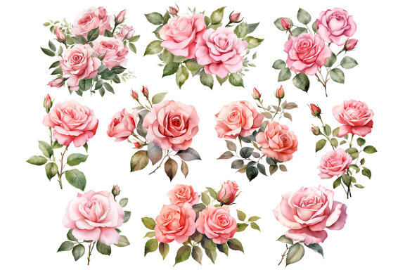 Pink Roses PNG Bundle, Watercolor Flowers Clipart