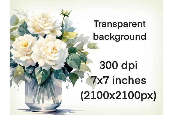 White Roses PNG Bundle, Watercolor Flowers Clipart