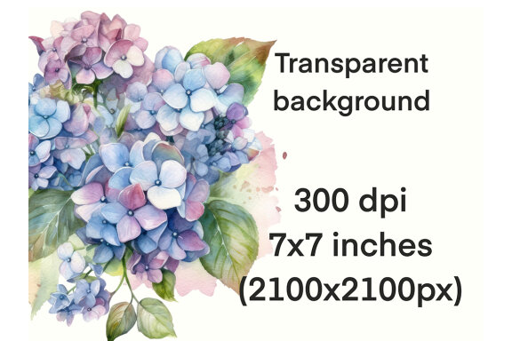 Blue Hydrangea PNG Bundle, Watercolor flowers clipart