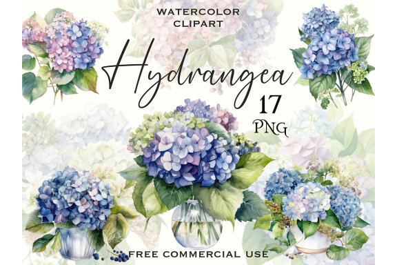 Blue Hydrangea PNG Bundle, Watercolor flowers clipart