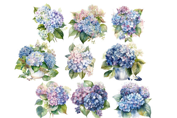 Blue Hydrangea PNG Bundle, Watercolor flowers clipart