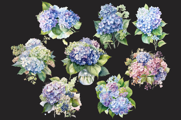 Blue Hydrangea PNG Bundle, Watercolor flowers clipart