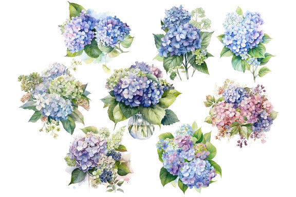 Blue Hydrangea PNG Bundle, Watercolor flowers clipart