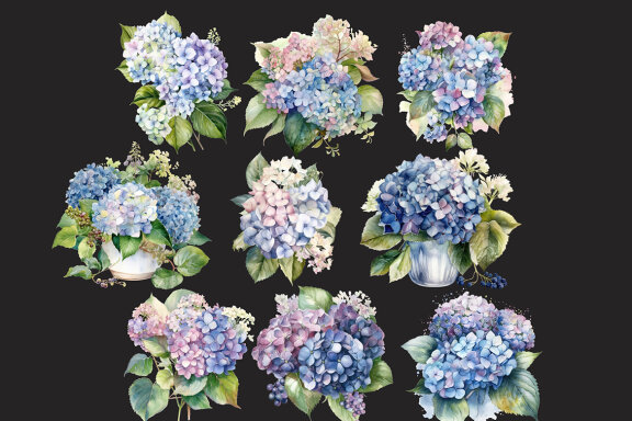 Blue Hydrangea PNG Bundle, Watercolor flowers clipart