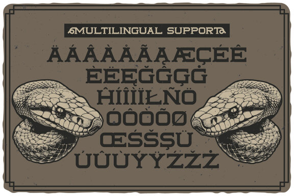 Tailface Vintage Layered Font