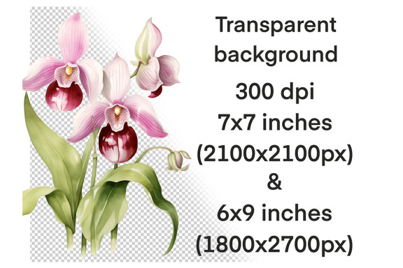 Watercolor Orchid PNG Bundle