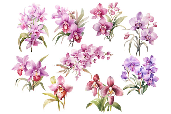 Watercolor Orchid PNG Bundle