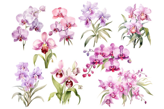 Watercolor Orchid PNG Bundle