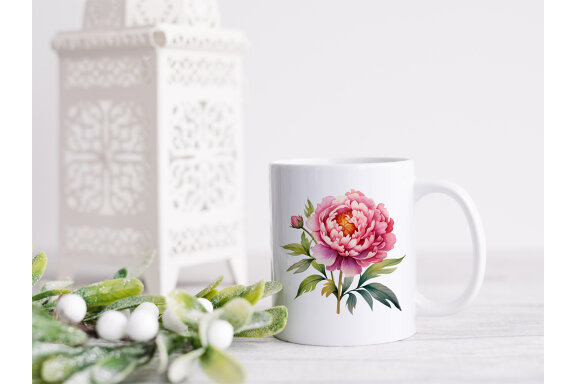 Pink Peony PNG Bundle, Watercolor peonies clipart