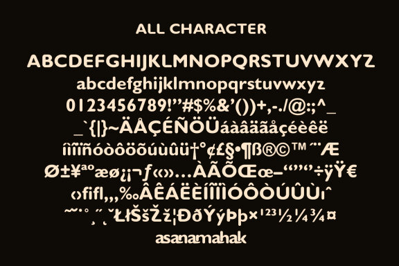 Haveko Rounded Display Font