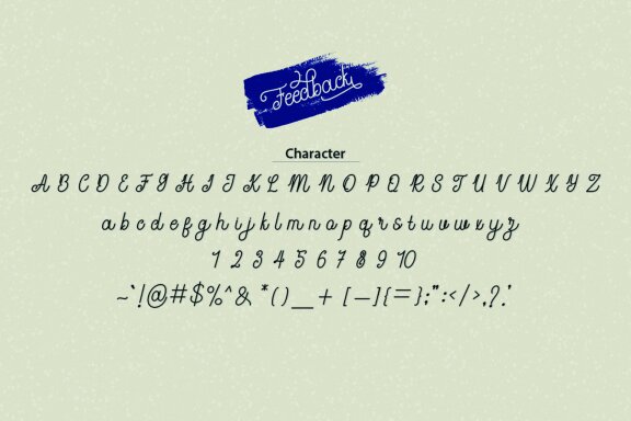 Feedback Script