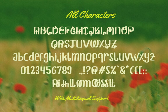 Wildest Bliss - Quirky Display Font