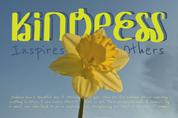 Wildest Bliss - Quirky Display Font