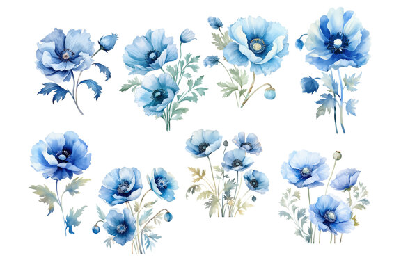 Blue California Poppy PNG Bundle, Watercolor flowers clipart
