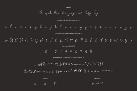 Hisettom - Modern Calligraphy