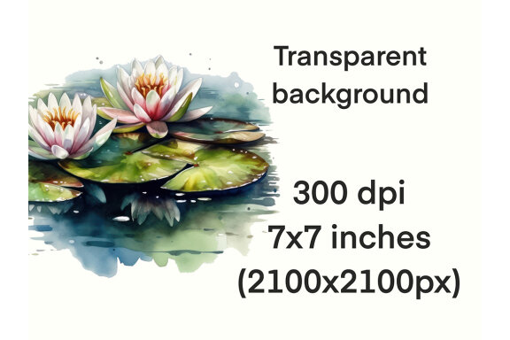 Watercolor Water Lilies Pond PNG Bundle