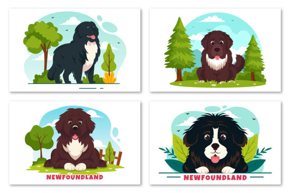 10 Newfoundland Dog Illustration