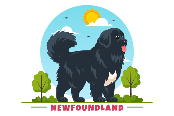 10 Newfoundland Dog Illustration