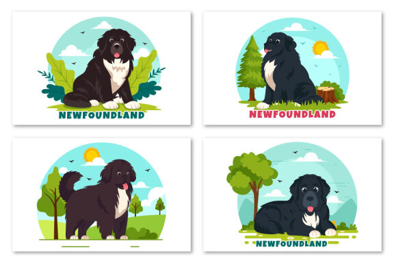 10 Newfoundland Dog Illustration