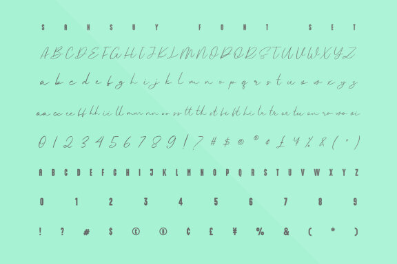 Sansuy Font Duo Script Sans Typeface