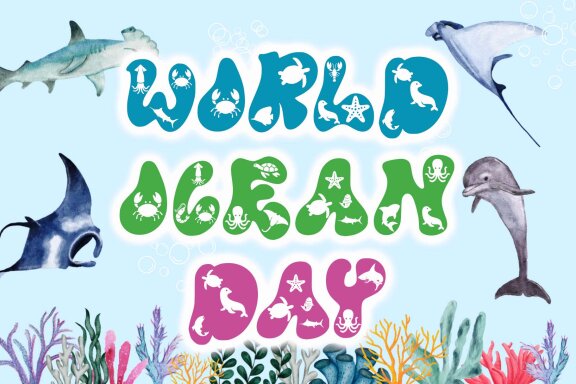 Ocean Animal