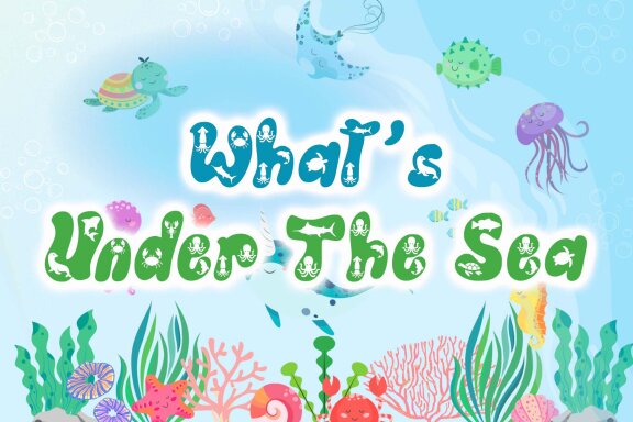Ocean Animal