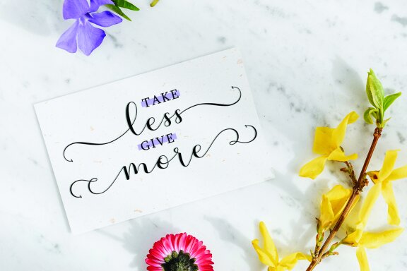 Allifa Script