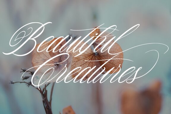 Druttayisda Script Font