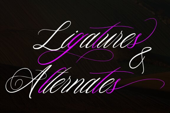 Druttayisda Script Font