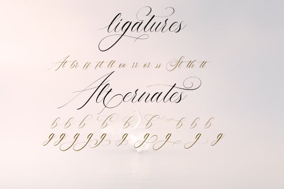 Adorned Script Font