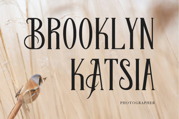 Lethiqs Serif Display Font