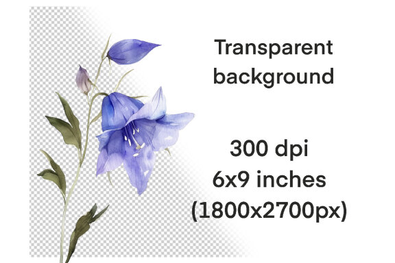 Watercolor Wild Flowers Clipart volume I