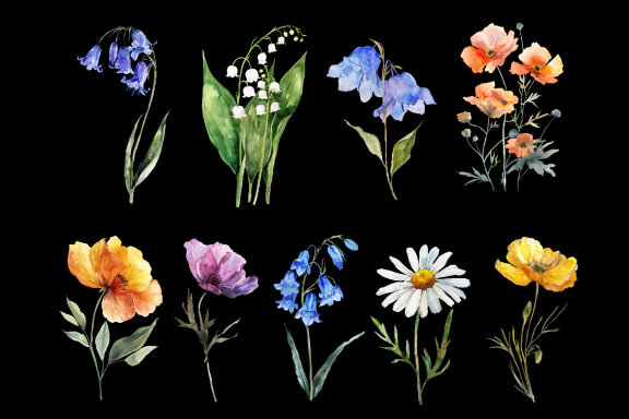 Watercolor Wild Flowers Clipart volume I