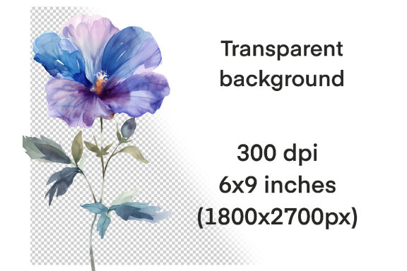 Watercolor Wild Flowers Clipart volume II