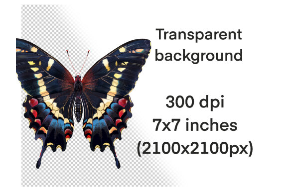 Watercolor Butterfly PNG Bundle