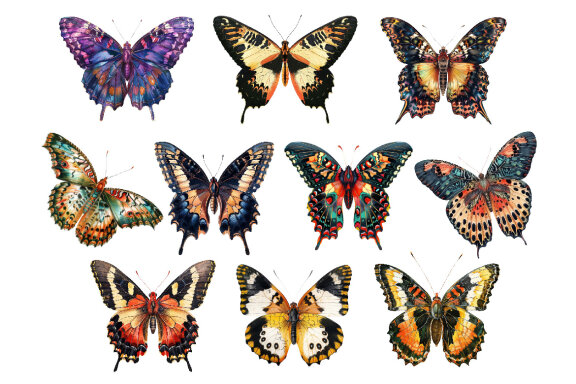 Watercolor Butterfly PNG Bundle