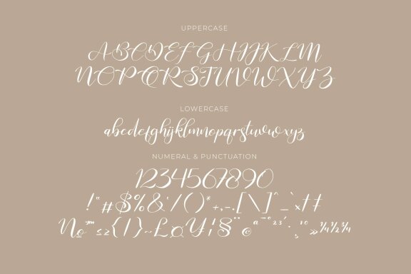 Raghide Script Font