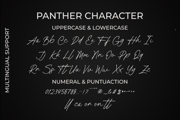 Panther