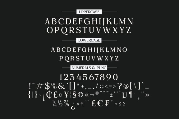 BEQINER ELEGANT SERIF TYPEFACE
