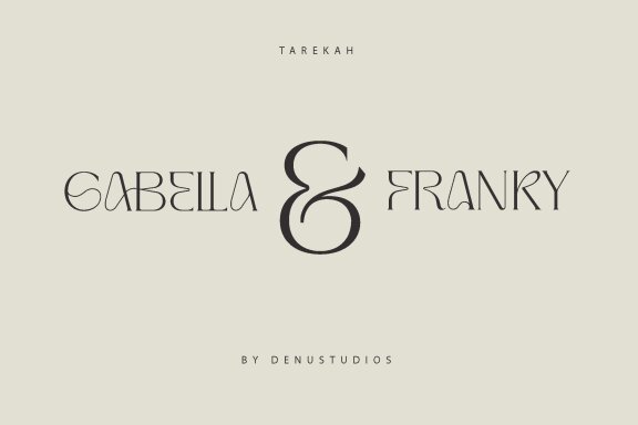 Tarekah | Modern Serif Font