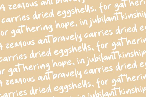 Quintero Script Font