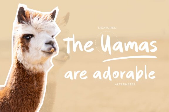 Quintero Script Font