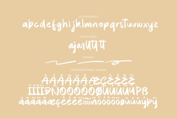 Quintero Script Font