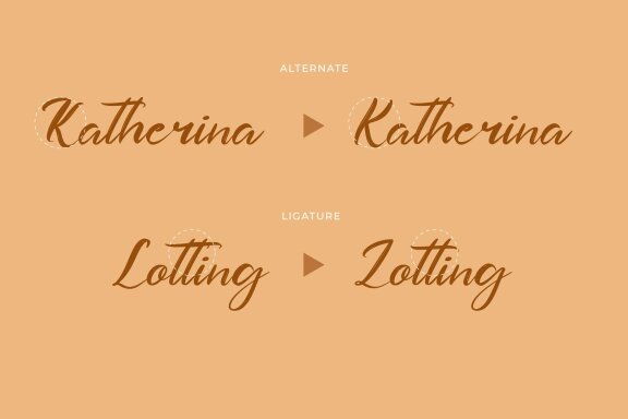 Dashtlyn Script Font