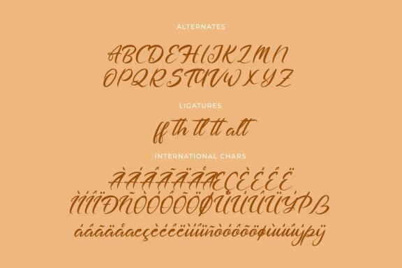 Dashtlyn Script Font