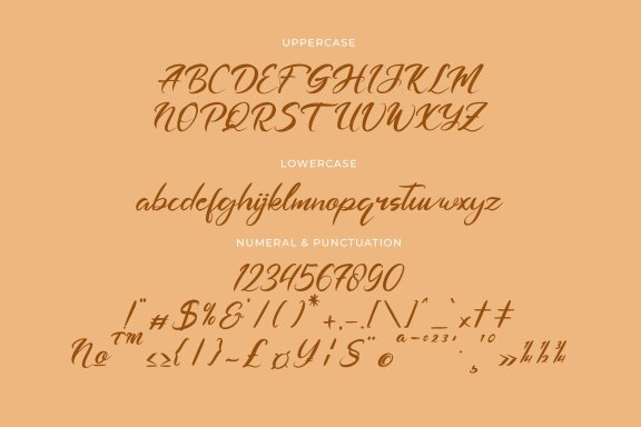 Dashtlyn Script Font