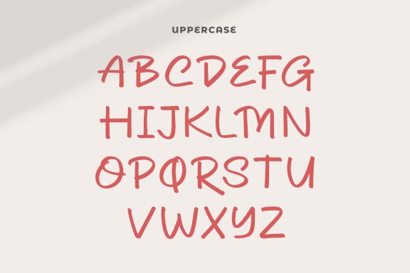 Dhel Fyn | Handwriting Script Font