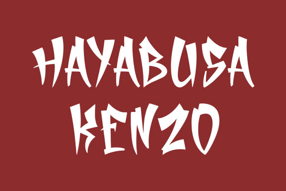 Raijin Japanese Display Font