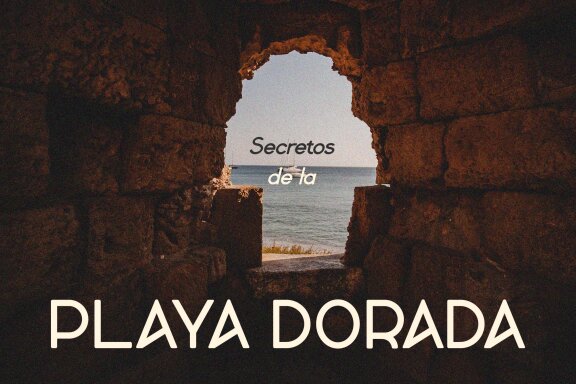 Rexilya | Modern Sans Serif